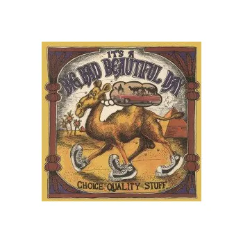 Zahraniční hudba Choice Quality Stuff / Vinyl - It's A Beautiful Day [LP]