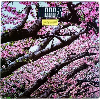 Osobní váha Osobní váha Maestro MR 1823