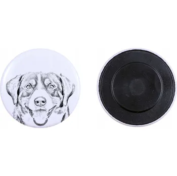 Obraz Entlebucher - magnet s psím pozadím, extra lehká, silná magnet, produk