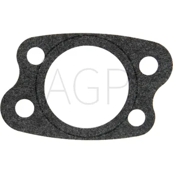 Těsnění filtru pro motory Briggs & Stratton