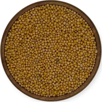 Koření Herbi Hořčice žlutá celá, 100 g