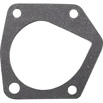 Těsnění motoru LKQ Těsnění vodní pumpy XS 115095850