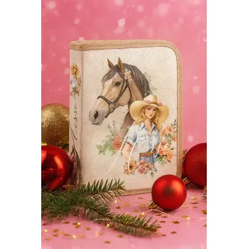 Penál ŠKOLNÍ JEDNOPATROVÝ PLNĚNÝ PENÁL DÍVKA A KŮŇ