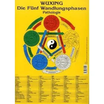 Wuxing Die Fünf Wandlungsphasen - Pathologie, Tafel - Ploberger, Florian