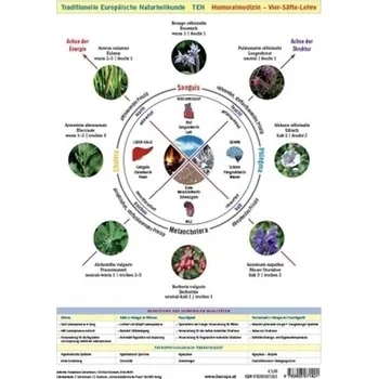 Wandtafel Traditionelle Europäische Naturheilkunde TEN - Garvelmann, Friedemann [DE] (2017, Plakát, Bacopa)