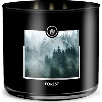 Svíčka Goose Creek Candle svíčka Forest, 411 g