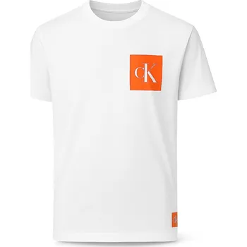 Pánská móda Calvin Klein Pánské Tričko Iconic S Logo bílé