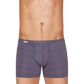 Boxerky Pánské boxerky BodyandSoul 10/1-13/88 FABIO šedá M