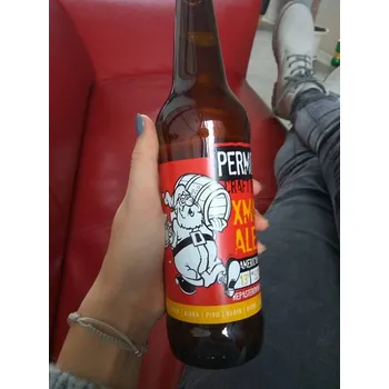 Pivo Permon XMAS Ale 13% - 0,5 l