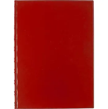 Archivační box Sloha A4 vícenásobné kapsy plast červená