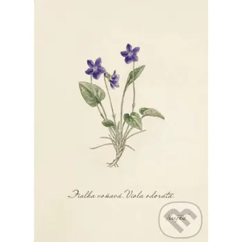 Záložka Print fialka (rozmer A4) - Z našej prírody Z našej prírody