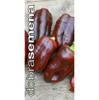 Semeno SWEET CHOCOLATE - 20 s