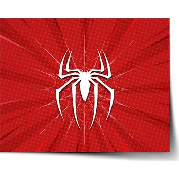 Plakát Sablio Plakát Pavučina Varianta: 60x40cm