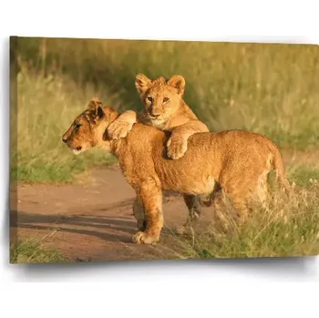 Obraz Sablio Obraz Lvíčata - 60x40 cm