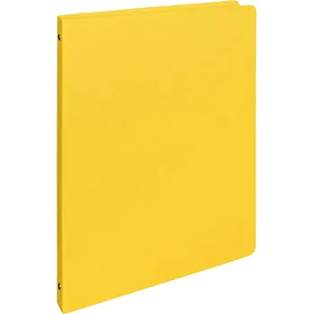 Karton P+P Pořadač čtyřkroužkový prešpánový A4 2 cm žlutý