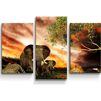 Obraz Sablio Obraz - 3-dílný Zvířata ze Sahary - 75x50 cm