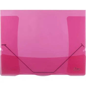 Archivační box Sloha s gumou průhledná Lines červená