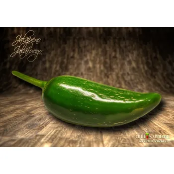 Semeno chilli-semena Jalapeno Jalafuego