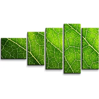 Obraz Sablio Obraz - 5-dílný Detail listu - 100x60 cm
