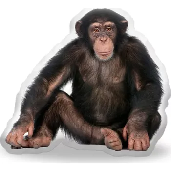 Polštář Sablio 3D polštář ve tvaru Šimpanz