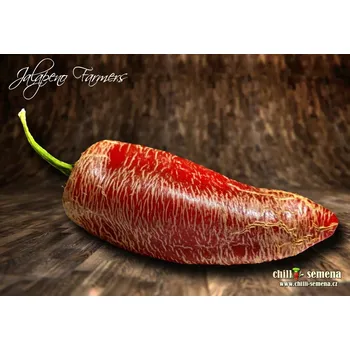 Semeno chilli-semena Jalapeno Farmers