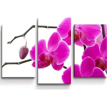Obraz Sablio Obraz - 3-dílný Fialové orchideje - 75x50 cm