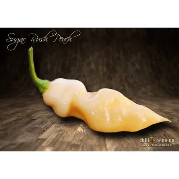Semeno chilli-semena Sugar Rush Peach