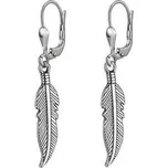 ZB23484 Stříbrné visací náušnice peříčka - pírka