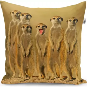 Polštář Sablio Polštář Surikaty - 50x50 cm