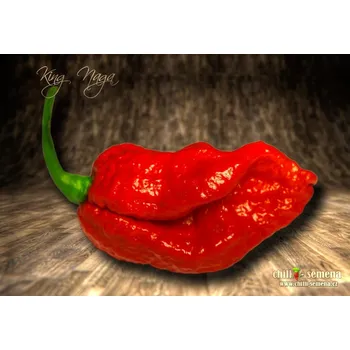 Semeno chilli-semena King Naga
