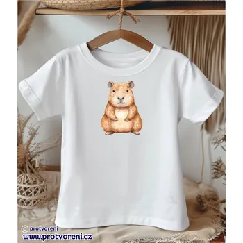 Chlapecké tričko Trička s potiskem Tričko s potiskem, dětské, BOBR, 1 ks zvolte VELIKOST trička ZDE:: 11/12 let Beagle