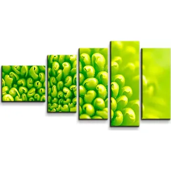 Obraz Sablio Obraz - 5-dílný Detail květiny - 100x60 cm