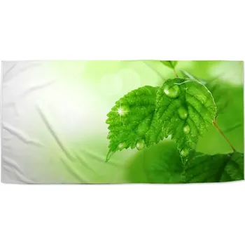 Osuška Sablio Ručník Listy 3 - 30x50 cm