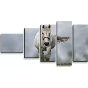 Obraz Sablio Obraz - 5-dílný Bílý kůň 3 - 100x60 cm