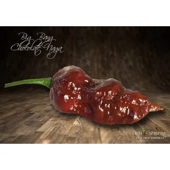 Semeno chilli-semena Big Bang Chocolate Naga