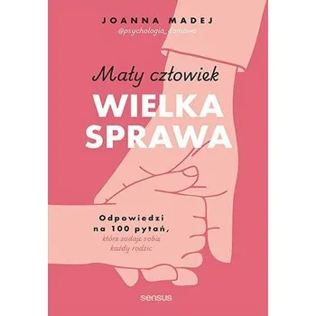 Mały człowiek, wielka sprawa. Odpowiedzi na 100 pytań, które zadaje sobie każdy rodzic - Joanna Madej