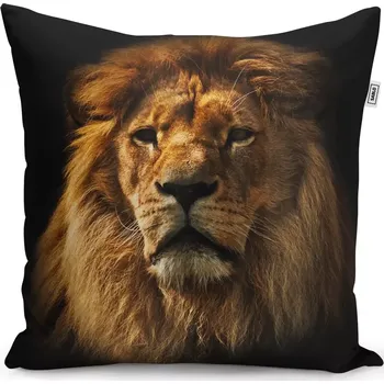 Polštář Sablio Polštář Lev - 40x40 cm