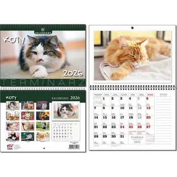 Kalendář Kalendář 2026 A3 plánovací 13 listů Kočky