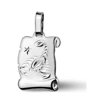 Přívěsek ZB51587-11 Stříbrný přívěšek znamení ŠTÍR - znamení zvěrokruhu