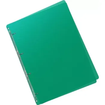 Karton P+P 4 kroužkový pořadač Transparent A5 25 mm zelený