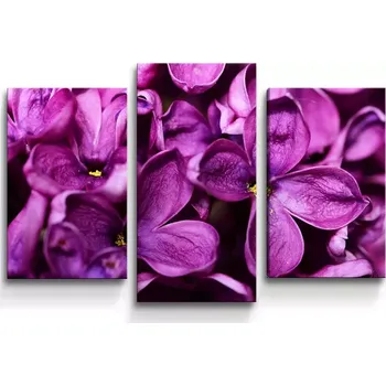Obraz Sablio Obraz - 3-dílný Fialové květy - 75x50 cm