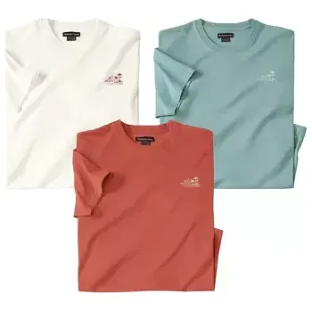 Atlas For Men Sada 3 jednobarevných triček Desert, Oranžová, Velikost XL L9119