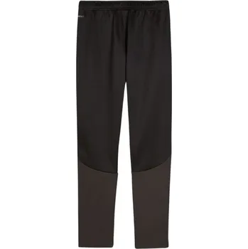 Dívčí oblečení Puma Team Goal Training dětské kalhoty černé 658641 03 128 cm