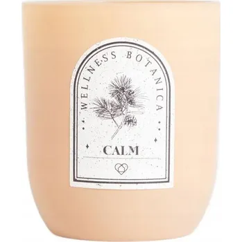 Svíčka Parafínová vonná svíčka WELLNESS Calm Homla