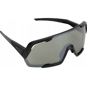 Brýle Alpina Rocket Q-Lite