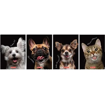 Hamelin Záznamní kniha A6 96l 70g Crazy Animal čtv. ,balení 5 ks 546223