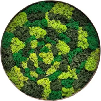 Obraz Mechový obraz 50 cm 50x50x4,5 Natural Nebraska Oak