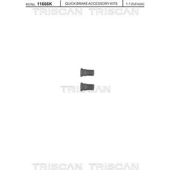 Brzdový kotouč Sada šroubů, brzdový kotouč TRISCAN 8105 116007