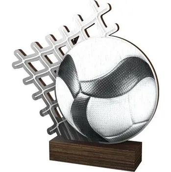 Poháry Bauer Dřevěná plaketa WF076 | Volejbal