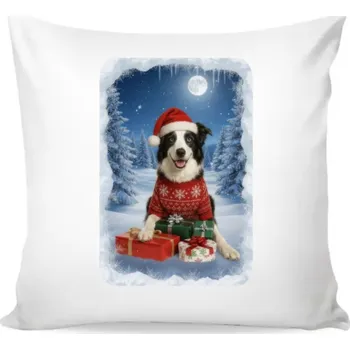 Povlak na polštářek ON-DESIGN Vánoční povlak na polštář s Border kolií